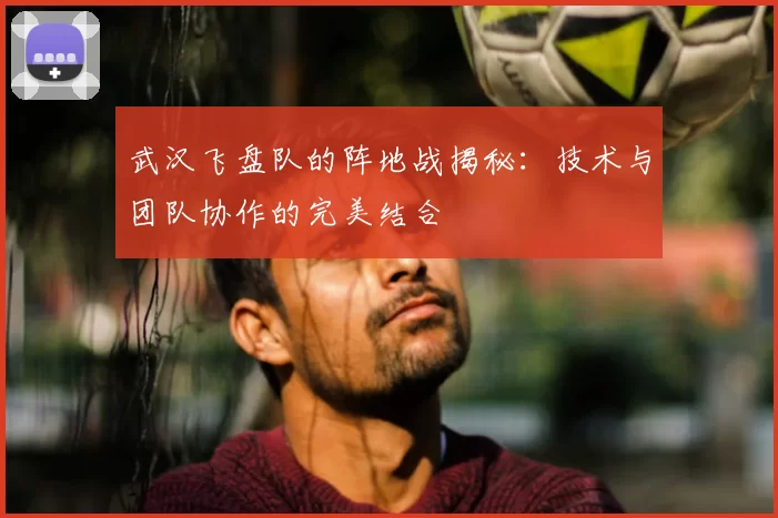 武汉飞盘队的阵地战揭秘:技术与团队协作的完美结合