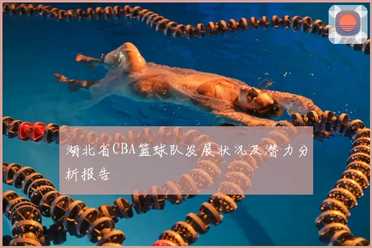 湖北省CBA篮球队发展状况及潜力分析报告