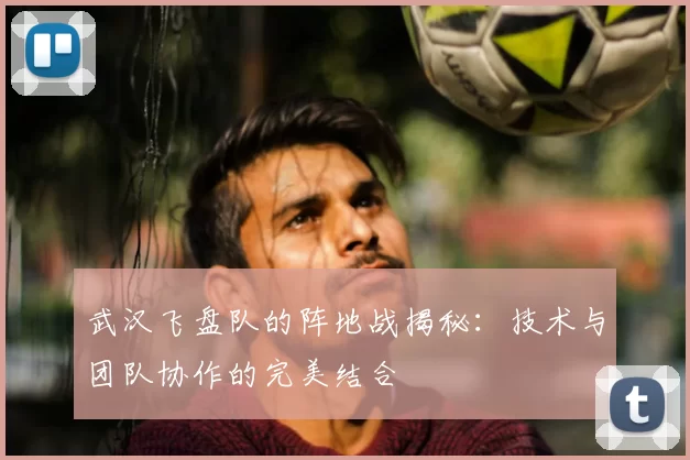 武汉飞盘队的阵地战揭秘:技术与团队协作的完美结合