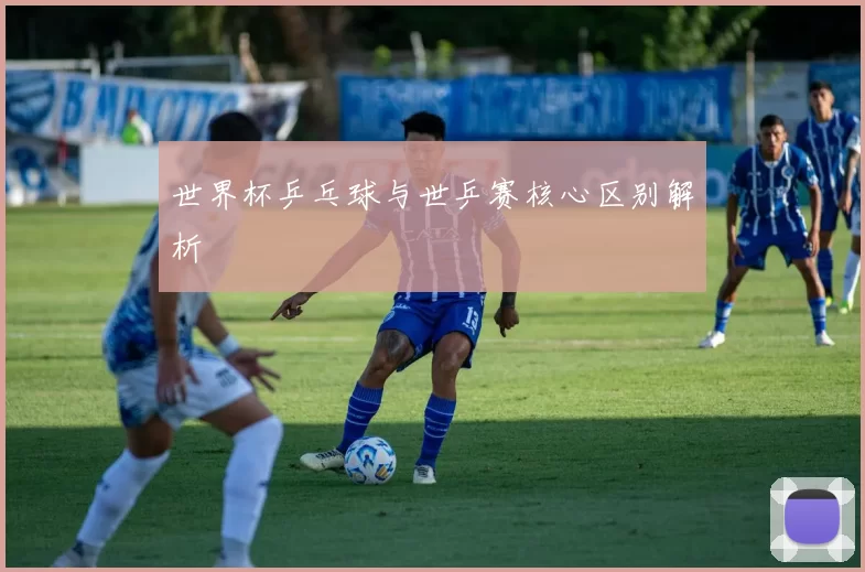 世界杯乒乓球与世乒赛核心区别解析
