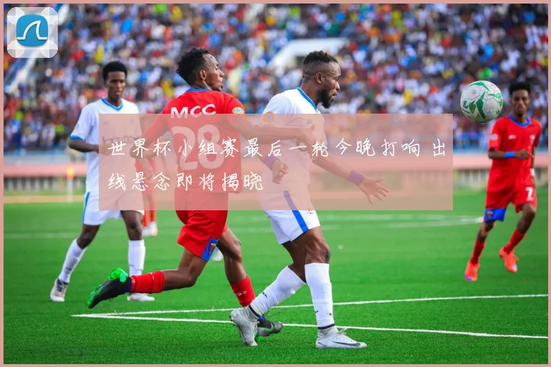世界杯小组赛最后一轮今晚打响 出线悬念即将揭晓