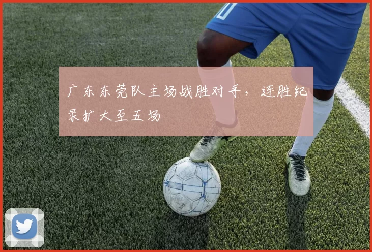 广东东莞队主场战胜对手,连胜纪录扩大至五场