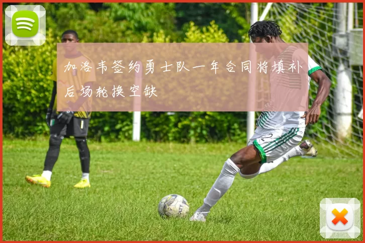 加洛韦签约勇士队一年合同将填补后场轮换空缺