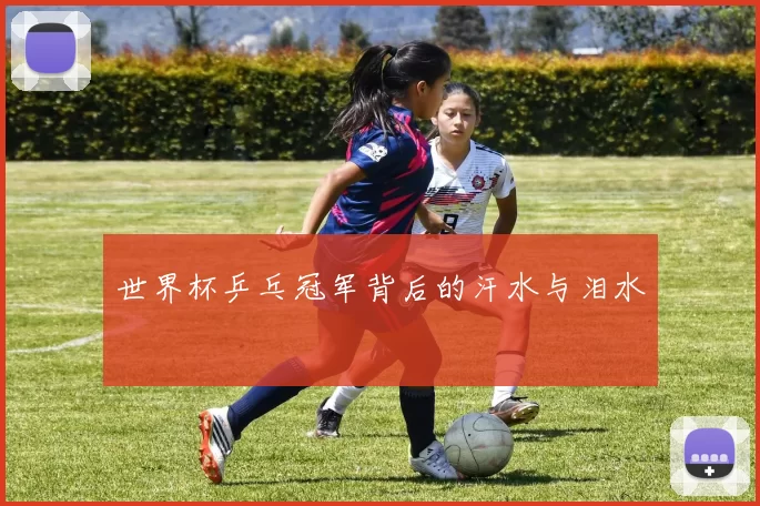 世界杯乒乓冠军背后的汗水与泪水