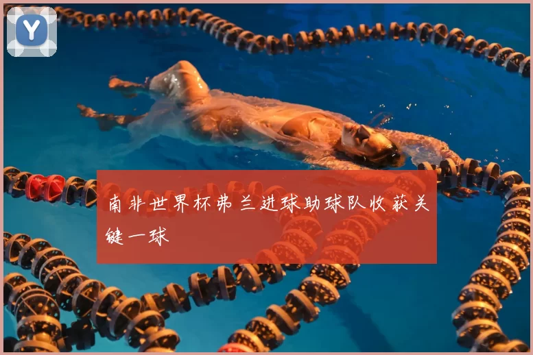 南非世界杯弗兰进球助球队收获关键一球
