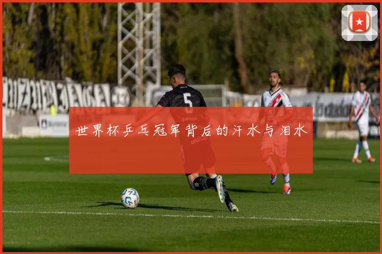 世界杯乒乓冠军背后的汗水与泪水