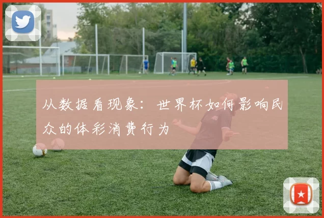 从数据看现象:世界杯如何影响民众的体彩消费行为