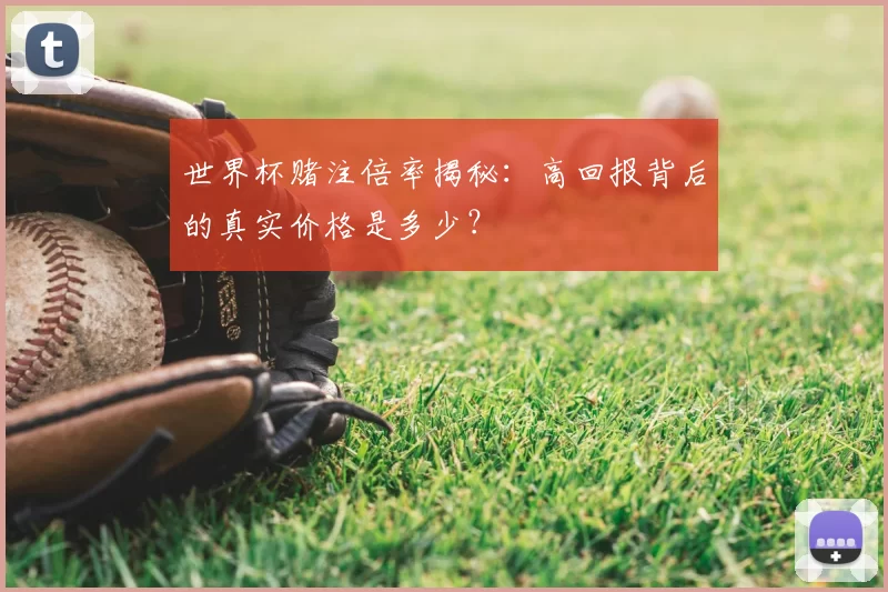 世界杯赌注倍率揭秘:高回报背后的真实价格是多少?
