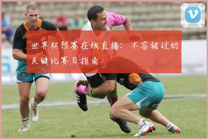 世界杯预赛在线直播:不容错过的关键比赛日指南